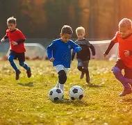 火影彩运,双色球,期精准预测,500彩票网官方,500万网彩票,500彩票,500万彩票网