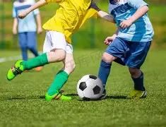 双色球,独家预测,精准杀号技,500彩票网官方,500万网彩票,500彩票,500万彩票网