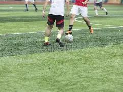 双色彩运,期独家定尾,攻略,500彩票网官方,500万网彩票,500彩票,500万彩票网