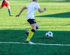 双色球,直击,蓝中奖攻略,500彩票网官方,500万网彩票,500彩票,500万彩票网