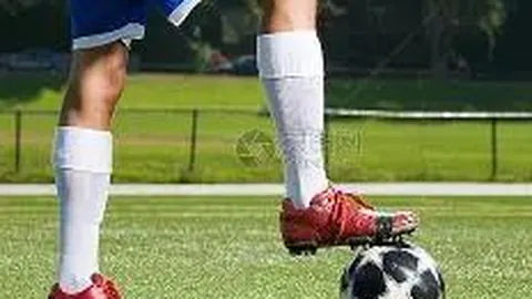 权限门扉：神秘403禁入警告揭秘！