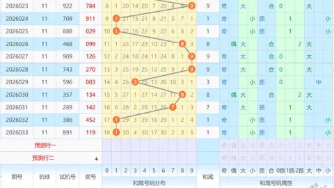 大乐透021期专家推荐：前区12码质合分析