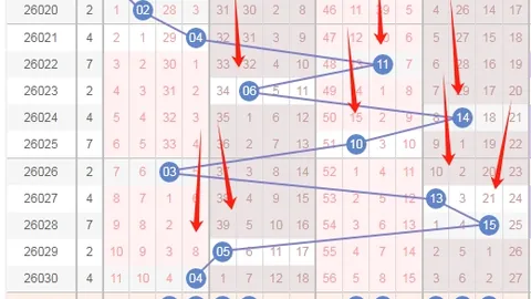 王重明大乐透032期：专家推荐52追加前区双胆21、30